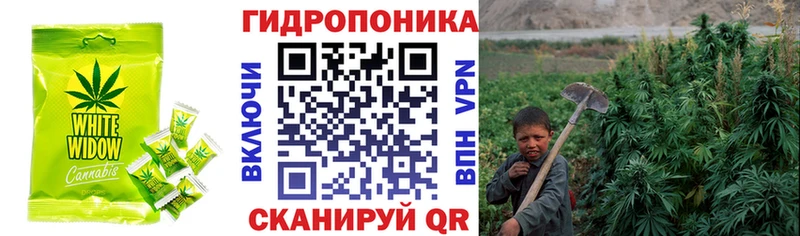 Еда ТГК марихуана  купить наркотики цена  Пудож 