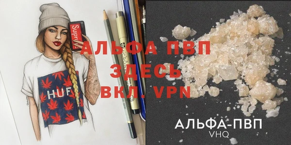 стаф Аркадак