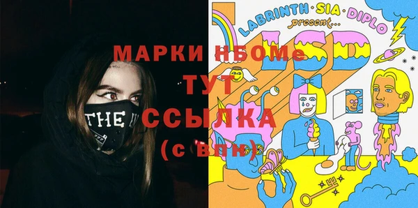 стаф Аркадак