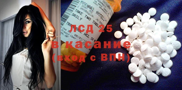 стаф Аркадак