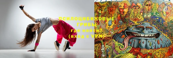 стаф Аркадак