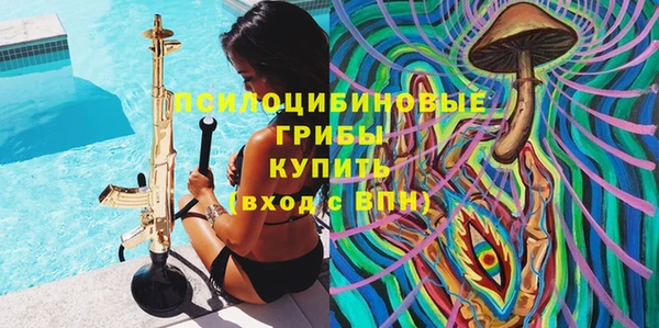 стаф Аркадак