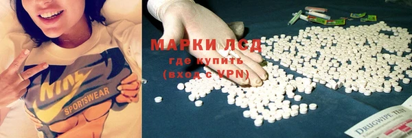 стаф Ростов