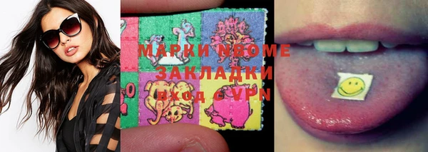 стаф Аркадак
