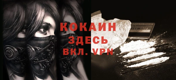 стаф Аркадак