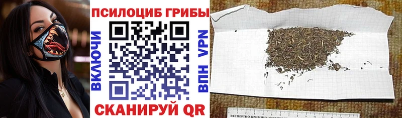 Галлюциногенные грибы прущие грибы  Пудож 